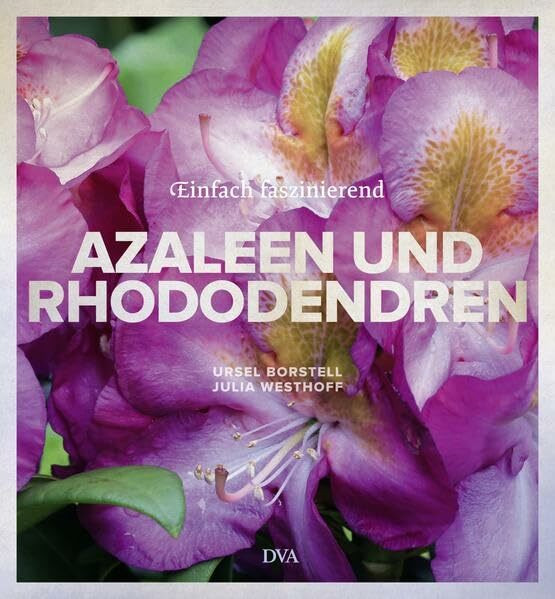 Azaleen und Rhododendren: Einfach faszinierend