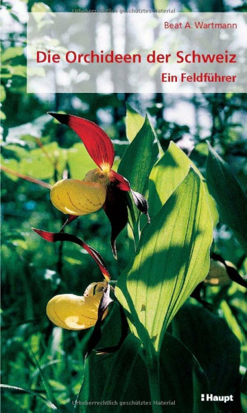 Die Orchideen der Schweiz: Ein Feldführer