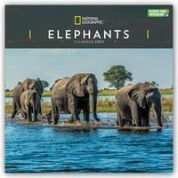 National Geographic Elephants - Elefanten 2022
