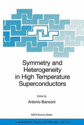Symmetry and Heterogeneity in High Temperature Superconductors (NATO Science Series II: Mathematics, Physics and Chemistry, 214, Band 214)