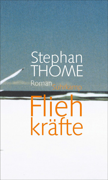 Fliehkräfte: Roman