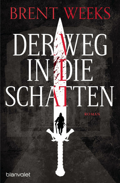 Der Weg in die Schatten: Roman (Schatten-Trilogie (Night Angel), Band 1)