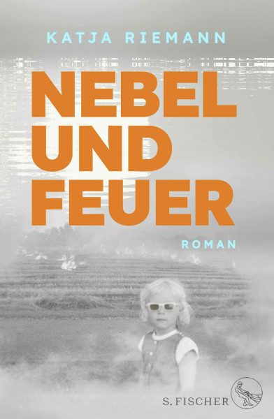 Nebel und Feuer: Roman