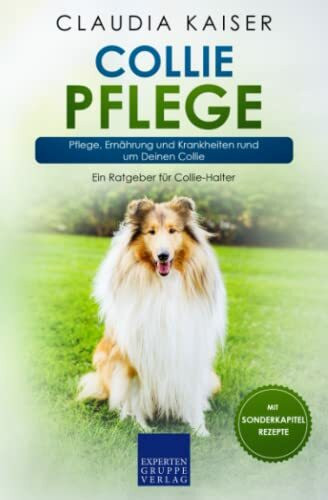 Collie Pflege: Pflege, Ernährung und Krankheiten rund um Deinen Collie