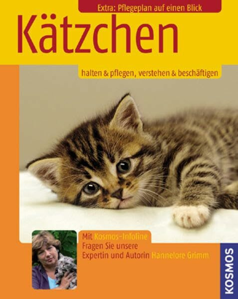 Kätzchen