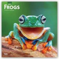 Frogs 2021 Square
