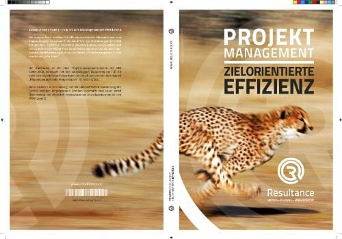 Projektmanagement - Zielorientierte Effizienz Projektmanagement - Zielorientierte Effizienz