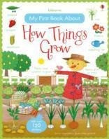 My First Book About How Things Grow Sticker Book