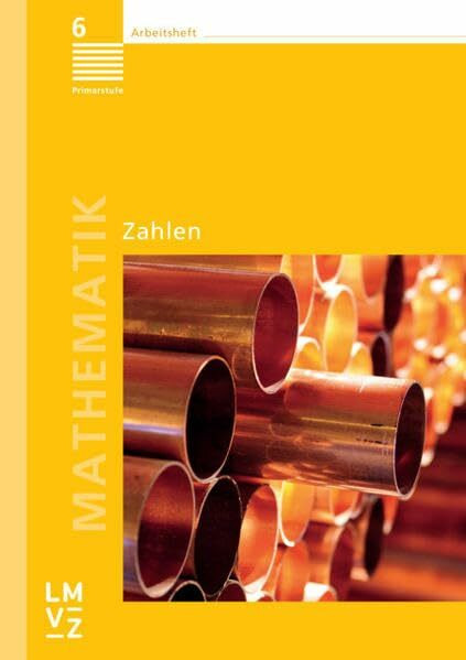 Mathematik 6 Primarstufe / Arbeitshefte