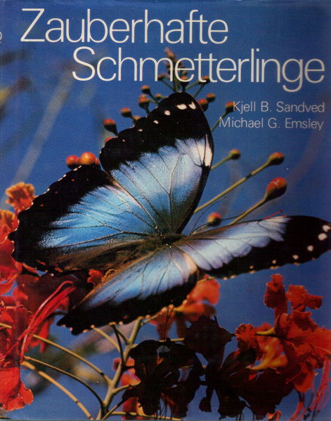Zauberhafte Schmetterlinge
