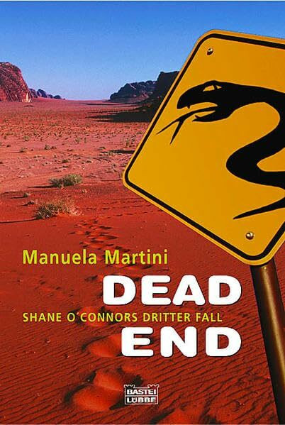 Dead End. Shane O'Connors dritter Fall (Allgemeine Reihe. Bastei Lübbe Taschenbücher)