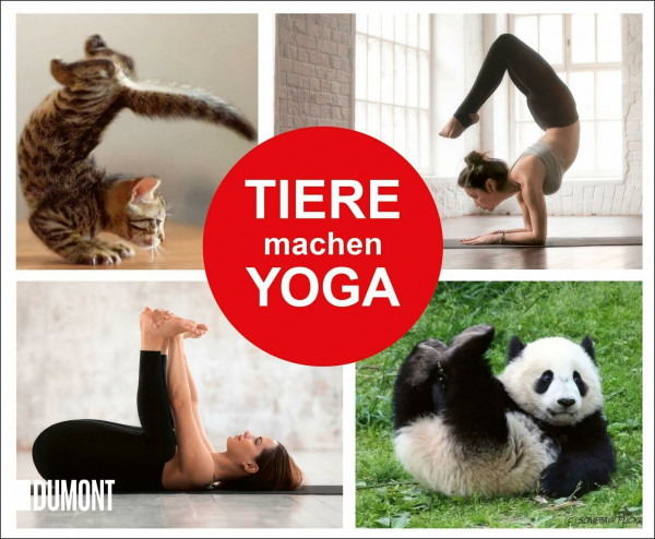 Tiere machen Yoga: Das Buch für mehr Beweglichkeit und weniger Stress ((Fast) immer lustig, Band 17)
