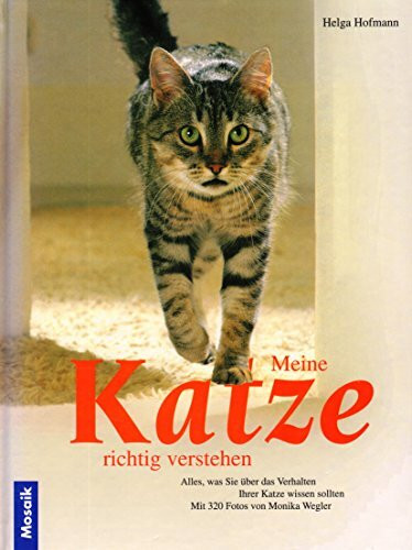 Meine Katze richtig verstehen: Alles, was Sie über das Verhalten Ihrer Katze wissen sollten