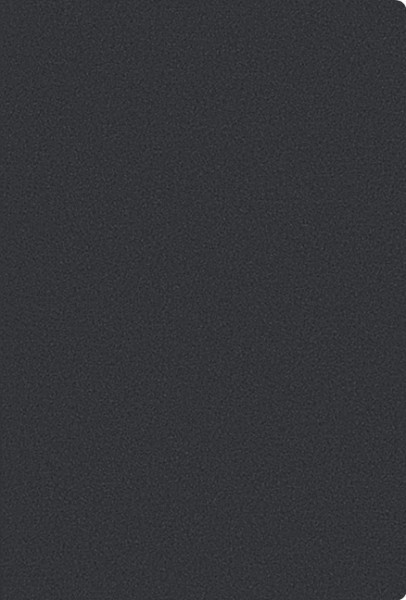 Taschenkalender Tizio Flexicover schwarz L 2022