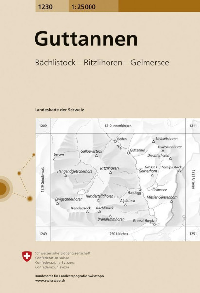 Swisstopo 1 : 25 000 Guttannen