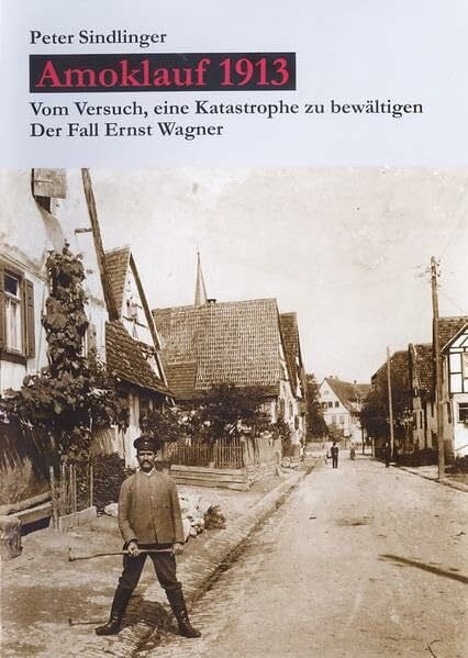 Amoklauf 1913: Vom Versuch, eine Katastrophe zu bewältigen. Der Fall Ernst Wagner