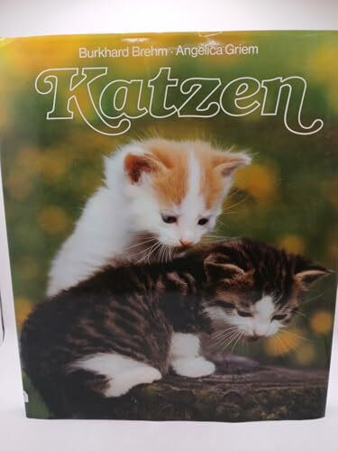 Katzen