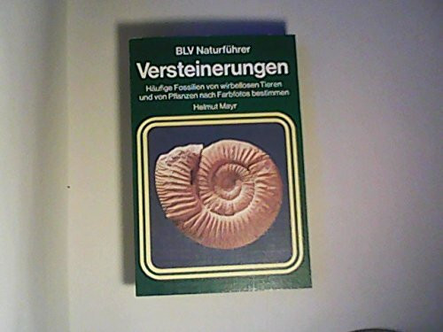 Versteinerungen (6543 570)