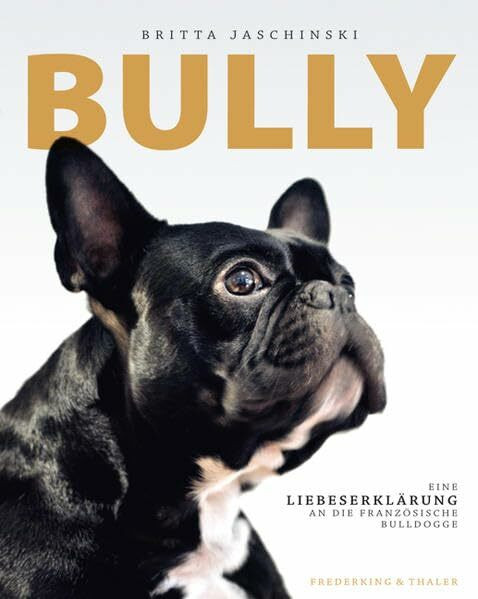 Bully: Eine Liebeserklärung an die französische Bulldogge