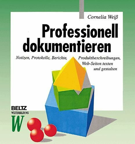 Professionell dokumentieren (Beltz Weiterbildung)