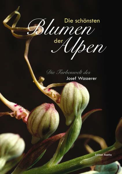 Die schönsten Blumen der Alpen: Die Farbenwelt des Josef Wasserer