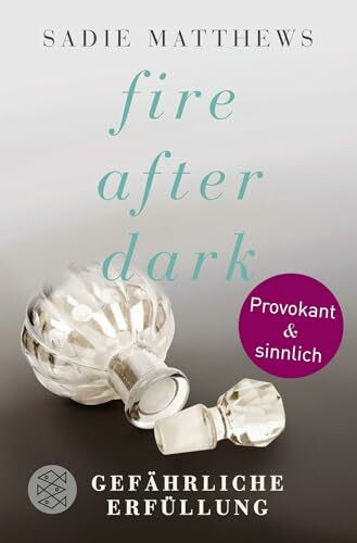 Fire after Dark - Gefährliche Erfüllung: Roman