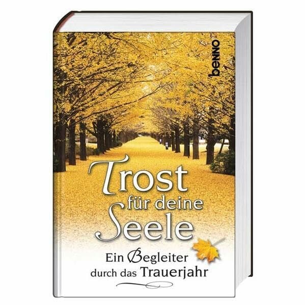 Trost für deine Seele: Ein Begleiter durch das Trauerjahr