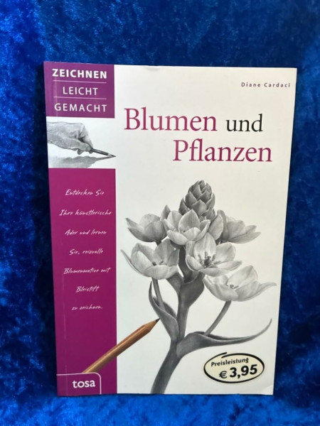 Blumen und Pflanzen: Zeichnen leicht gemacht