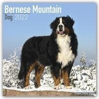 Bernese Mountain Dogs - Berner Sennenhunde 2022 - 18-Monatskalender mit freier DogDays-App