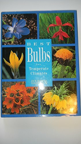 Best Bulbs for Temperate Climates