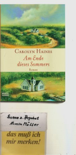 Am Ende dieses Sommers: Roman: Roman. Deutsche Erstausgabe (Allgemeine Reihe. Bastei Lübbe Taschenbücher)