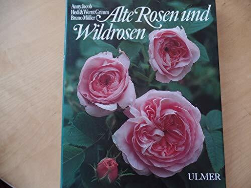 Alte Rosen und Wildrosen