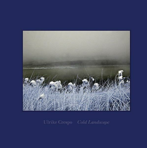 Ulrike Crespo: Cold Landscape