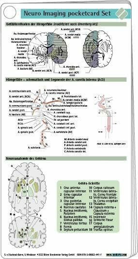 Neuro Imaging pocketcard Set