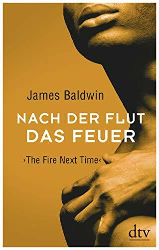 Nach der Flut das Feuer: The Fire Next Time