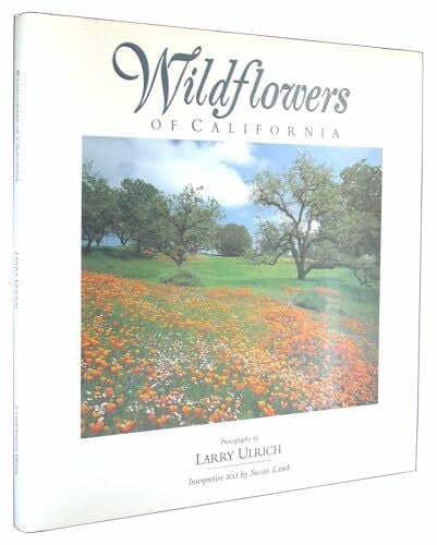 Wildflowers of California