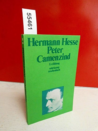 Peter Camenzind : Erzählung.