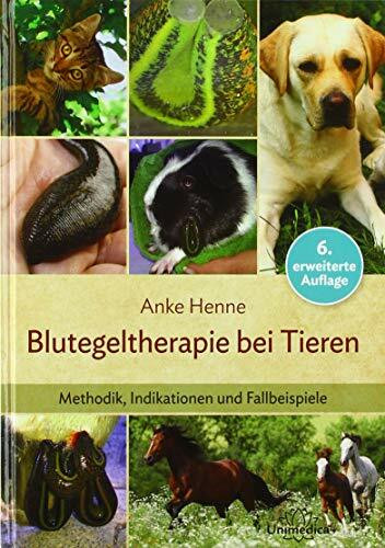 Blutegeltherapie bei Tieren: Methodik, Indikationen und Fallbeispiele