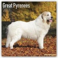 Great Pyrenees - Pyrenäenhunde 2022 - 18-Monatskalender mit freier DogDays-App