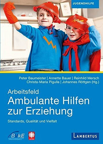 Arbeitsfeld Ambulante Hilfen der Erziehung: Standards, Qualität und Vielfalt