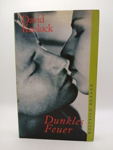 Dunkles Feuer : Roman.