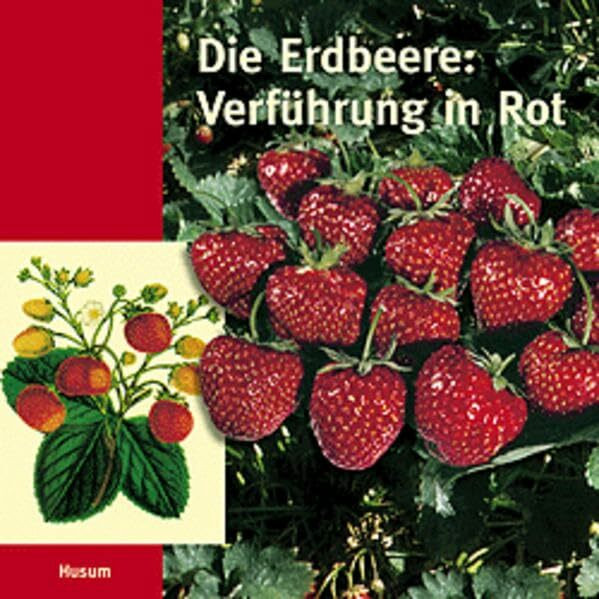 Die Erdbeere: Verführung in Rot. Kulturgeschichte einer Frucht aus den Vierlanden