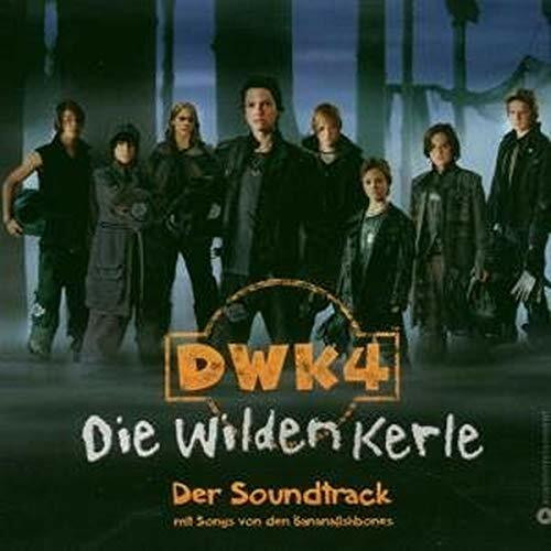 Die Wilden Kerle 4