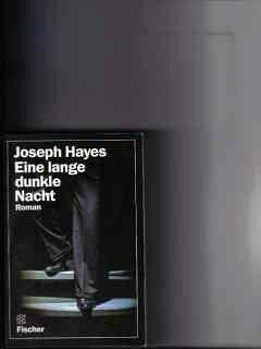 Eine lange dunkle Nacht: Roman