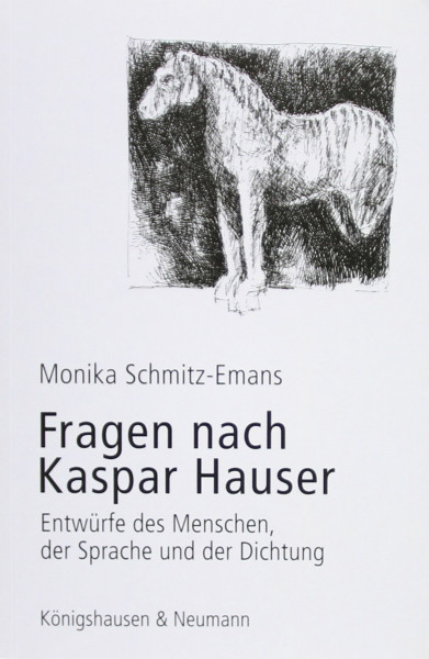 Fragen nach Kaspar Hauser: Entwürfe des Menschen, der Sprache und der Dichtung