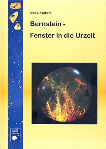 Bernstein - Fenster in die Urzeit