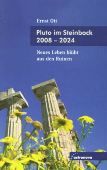 Pluto im Steinbock 2008-2024: Neues Leben blüht aus den Ruinen