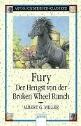 Fury - Der Hengst von der Broken Wheel Ranch