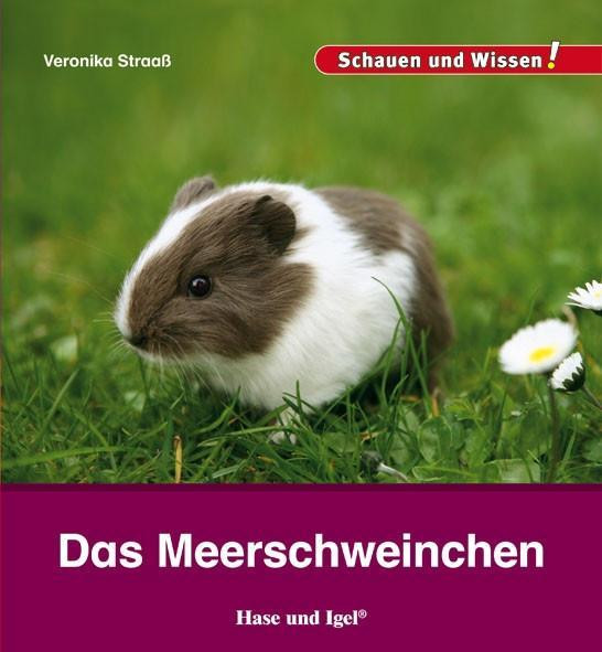 Das Meerschweinchen