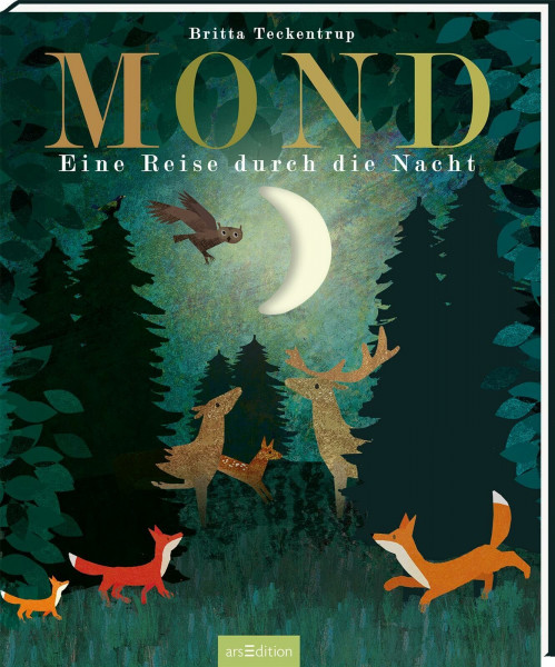 Mond: Eine Reise durch die Nacht | Gereimtes Bilderbuch zur Guten Nacht, mit Gucklöchern, hochwertig ausgestattet, für Kinder ab 4 Jahren (Britta Teckentrup Bilderbücher)